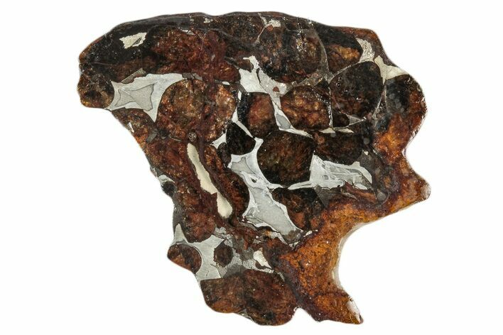 Sericho Pallasite Meteorite ( g) Slice - Kenya #346450